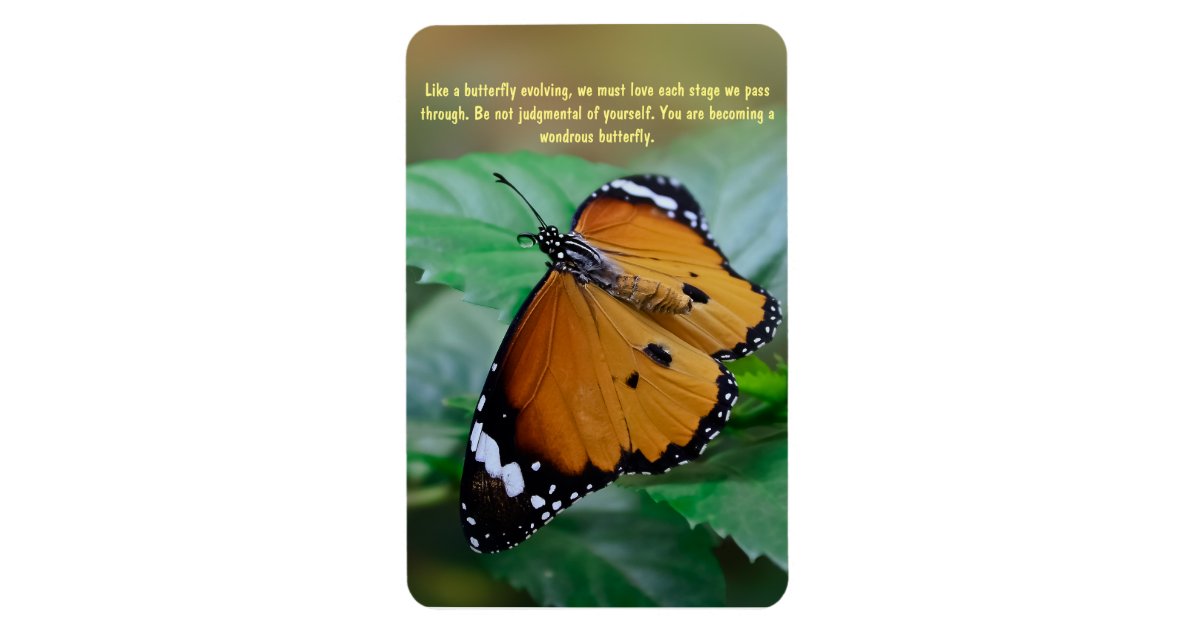 Magnet Flexible Citation Africaine D Inspiration De Papillon De Zazzle Fr