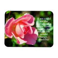 Citation Motivationnelle Rose rose