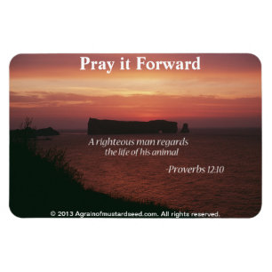 Magnet Flexible Citations chrétiennes inspirantes