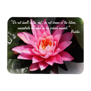 Magnet Flexible Citations de bouddha et fleurs de lotus / Méditat