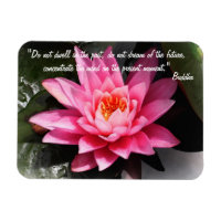 Citations de bouddha et fleurs de lotus / Méditati