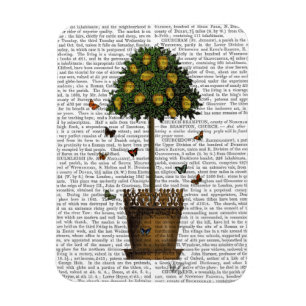 Magnet Flexible Citronnier