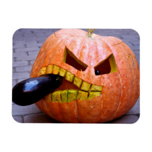 Magnet Flexible Citrouille avec aimant d'aubergine