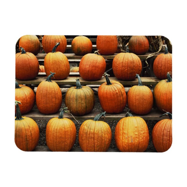 Magnet Flexible Citrouilles d'automne (Horizontal)
