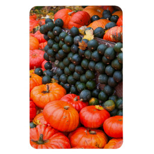 Magnet Flexible Citrouilles d'automne de près