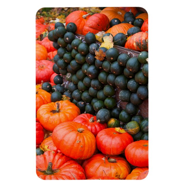 Magnet Flexible Citrouilles d'automne de près (Vertical)