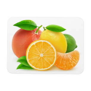 Magnet Flexible Citrus fruits