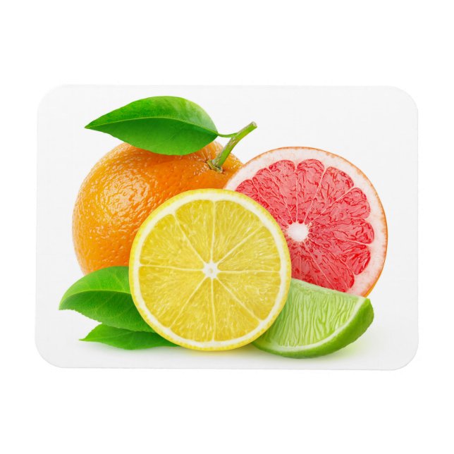 Magnet Flexible Citrus fruits (Horizontal)