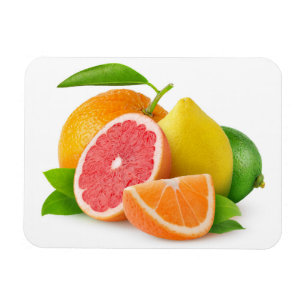 Magnet Flexible Citrus fruits