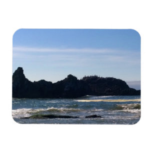 Magnet Flexible Coast at Seal Rock, Oregon