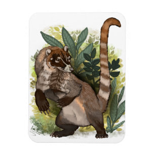 Magnet Flexible Coatamundi ou Coati noir blanc