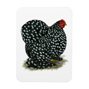 Magnet Flexible Cochin a chiné la poule