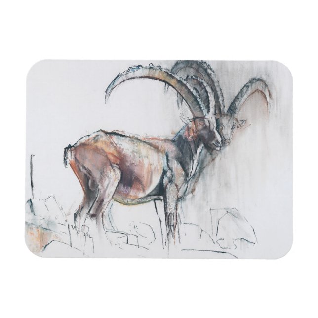 Magnet Flexible Col di Vermianaz (Horizontal)