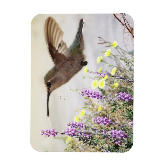 Magnet Flexible Colibri et Fleurs Sauvages Art Numérique  (Vertical)