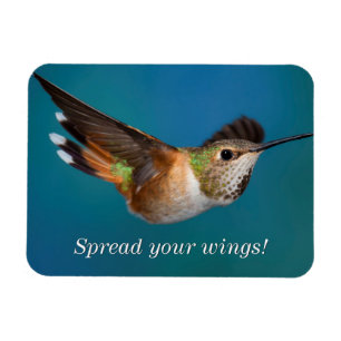Magnet Flexible Colibri Rufous