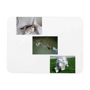 Magnet Flexible Collage de photos de Moira, Riley et Tyler