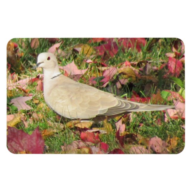 Magnet Flexible colombe d'automne (Horizontal)