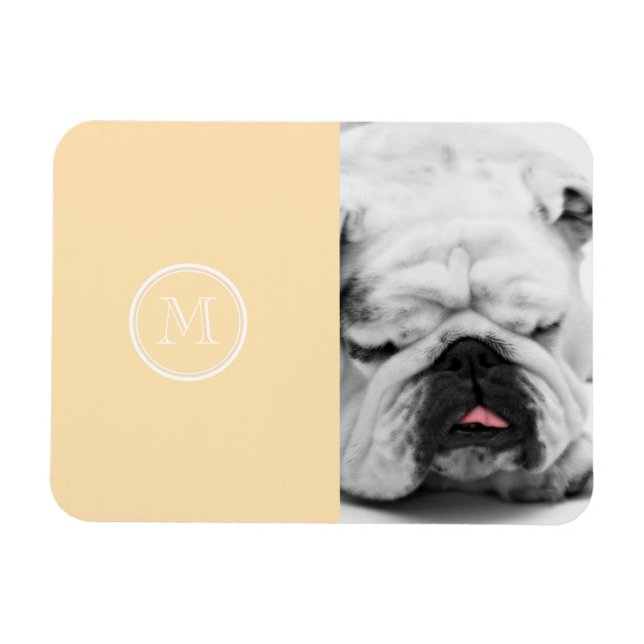 Magnet Flexible Coloré haut de gamme (Horizontal)