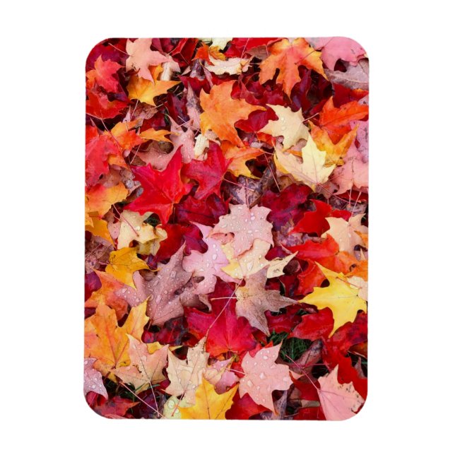 Magnet Flexible Colorful Autumn Leaves (Vertical)