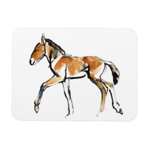 Magnet Flexible Colt