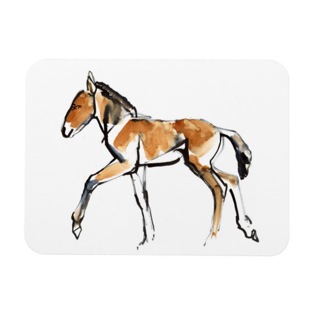 Magnet Flexible Colt (Horizontal)