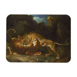 Magnet Flexible Combattre entre un lion et un tigre