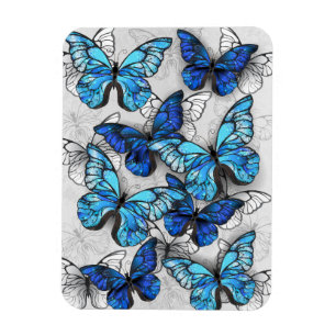Magnet Flexible Composition des White and Blue Butterflies