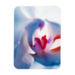 Magnet Flexible "Conception apaisante de l'orchidée" Aimant photo