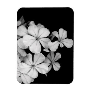 Magnet Flexible Conception de carte postale noir et blanc