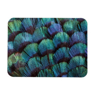 Magnet Flexible Conception de plume de faisan bleu-vert