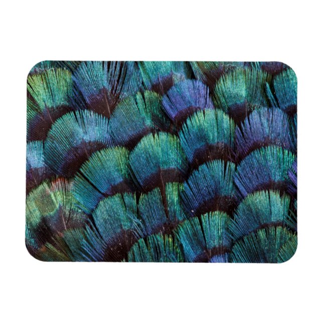 Magnet Flexible Conception de plume de faisan bleu-vert (Horizontal)