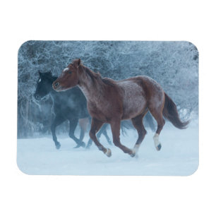 Magnet Flexible Conduite de chevaux