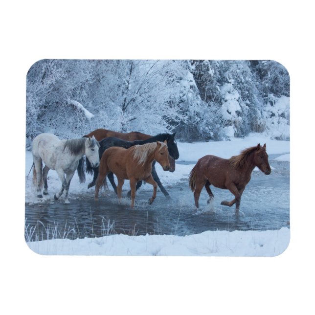 Magnet Flexible Conduite de chevaux en hiver (Horizontal)
