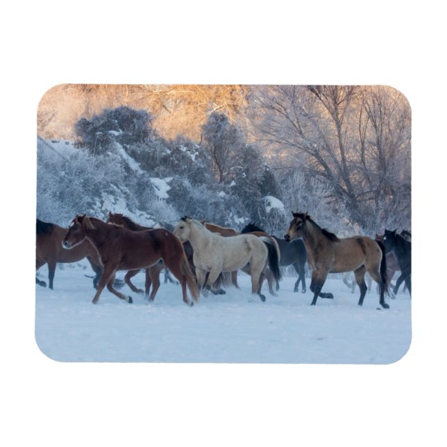 Magnet Flexible Conduite de chevaux en hiver au Hideout Ranch (Horizontal)