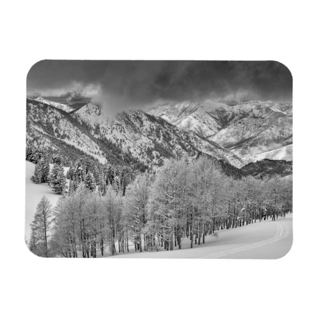 Magnet Flexible Conifères et trembles dans une tempête de neige (Horizontal)