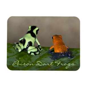 Magnet Flexible Considérer la situation