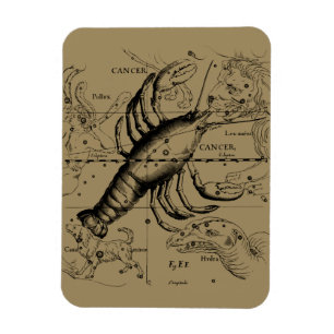 Magnet Flexible Constellation du cancer par Hevelius vers 1690