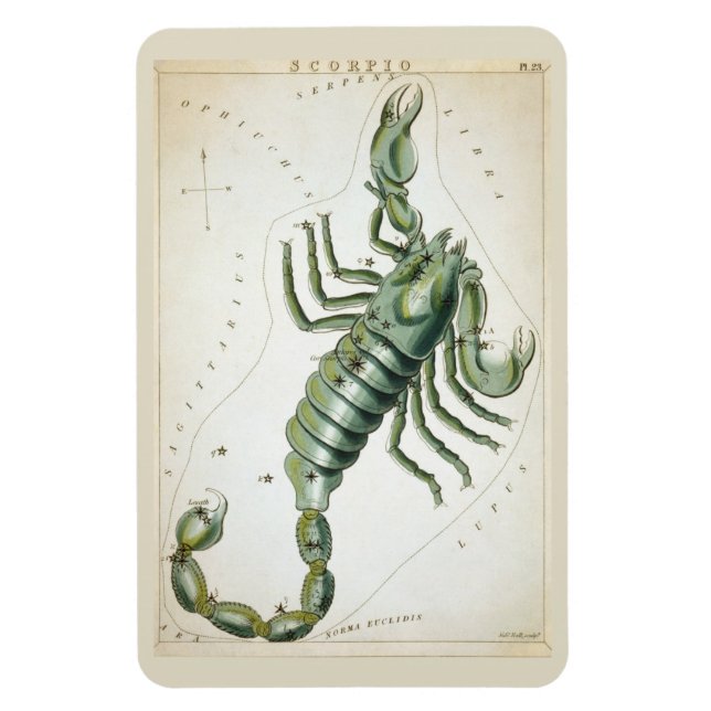 Magnet Flexible Constellation Scorpio (Vertical)