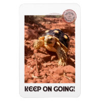 Continuez à aller Inspirational Coddiwompling Turt