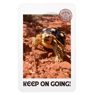 Magnet Flexible Continuez à aller Inspirational Coddiwompling Turt