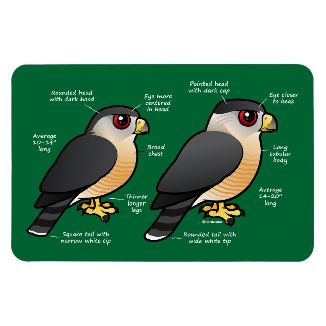 Magnet Flexible Coop v Sharpie (Horizontal)