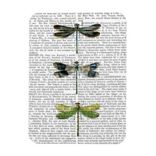 Magnet Flexible Copie 3 de libellules