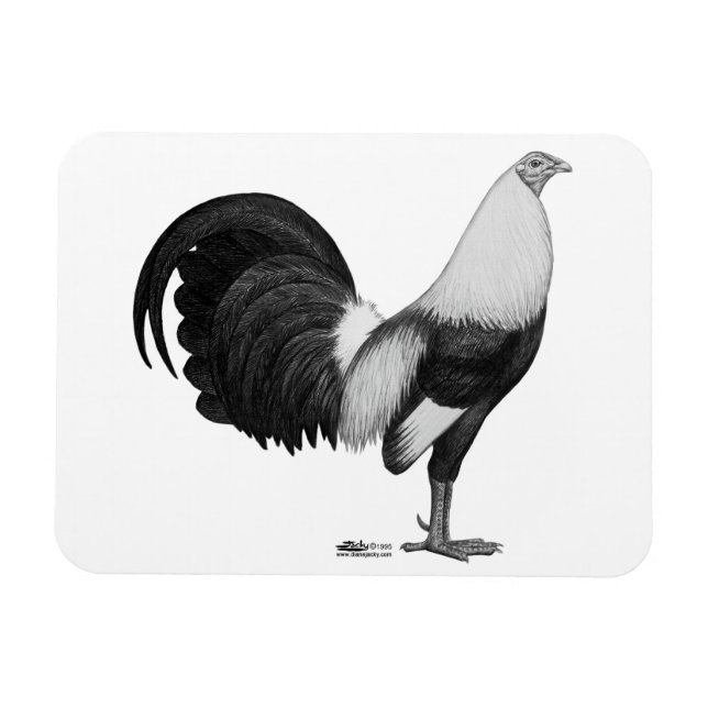 Magnet Flexible Coq de combat gris à ailes de canard (Horizontal)