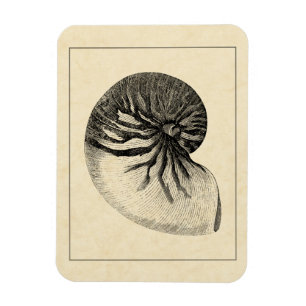 Magnet Flexible Coque conique vintage noire et blanche