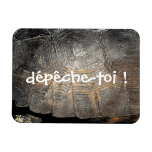 Magnet Flexible Coque de tortue Gopher