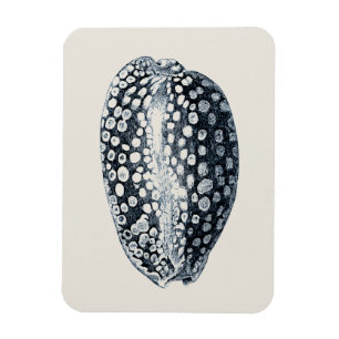 Magnet Flexible Coquillage d'indigo