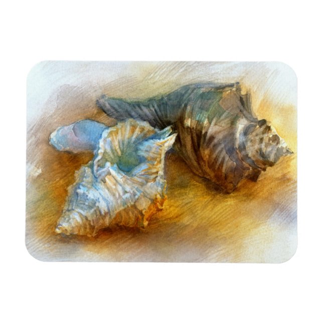 Magnet Flexible Coquillages sur la plage (Horizontal)