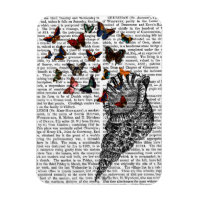 Coquille de conque et papillons 2
