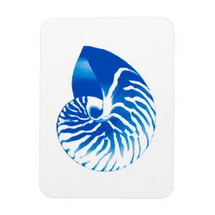 Magnet Flexible Coquille de Nautilus - bleu cobalt et blanc