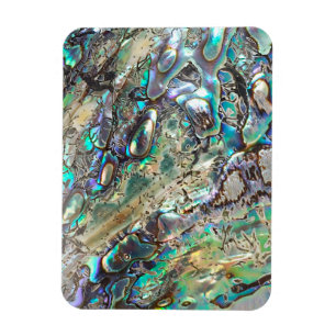 Magnet Flexible Coquille de paua de reine